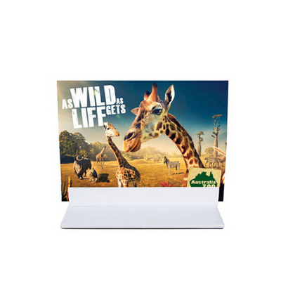 APH015 Metal Matt White Desktop Poster Stand